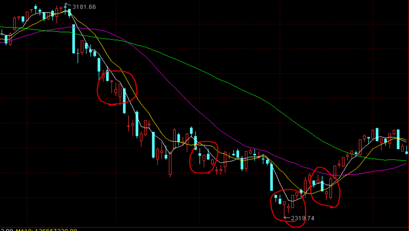 熊海峰教授走进广东塔牌集团股份有限公司开展2025院士专家入百企进百校(梅州行)活动